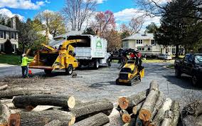 Best Fruit Tree Pruning  in Tolar, TX